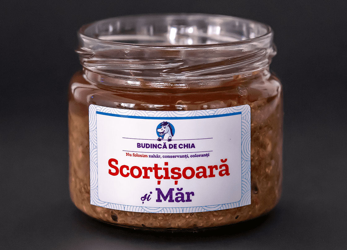 Budinca de Chia cu Scorțișoară și Măr | De Post
