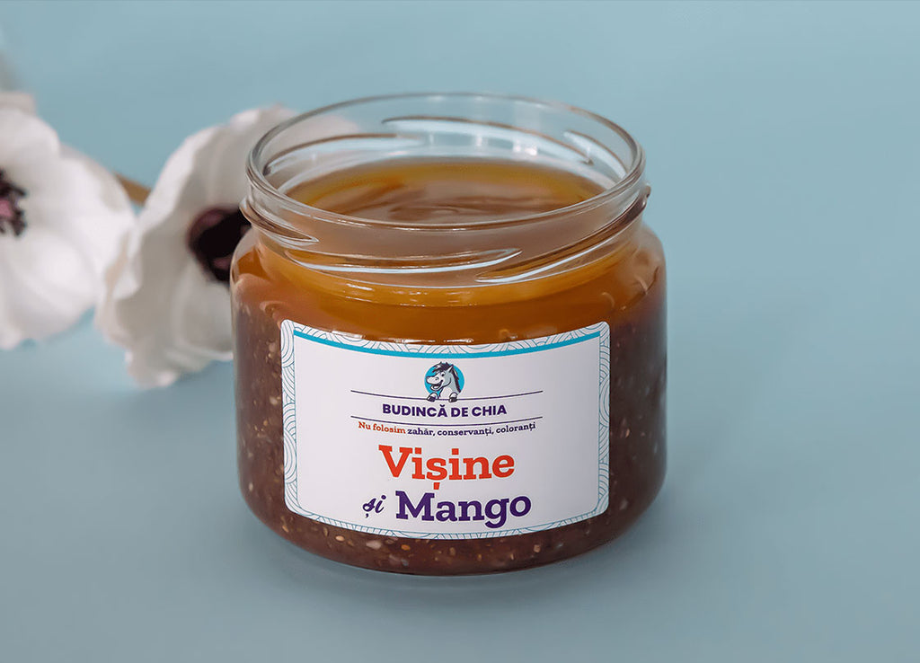Budinca de Chia cu Vișine, Mango, Nucă | De Post