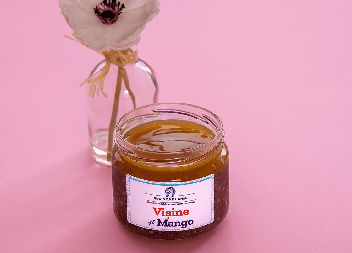 Budinca de Chia cu Vișine, Mango, Nucă | De Post