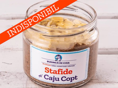 Budinca de Chia cu Stafide și Caju Copt | De Post