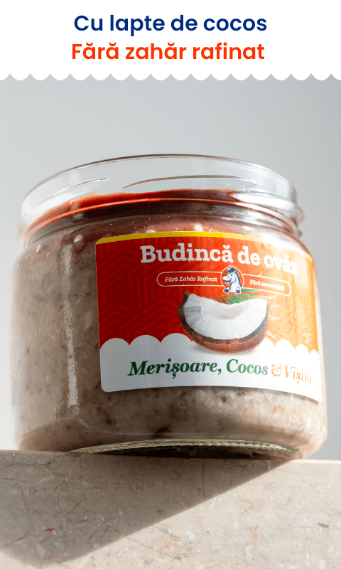 Ovăz cu Merișoare și Cocos | De Post