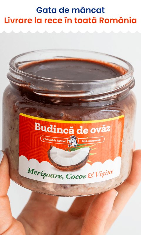 Ovăz cu Merișoare și Cocos | De Post