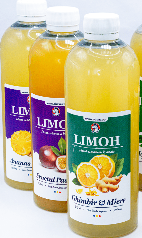 6x Limonadă Artizanala Premium | cu Miere din România