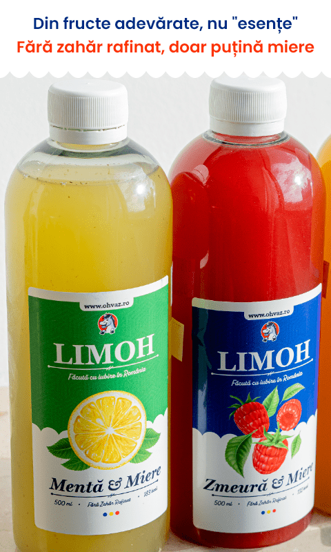 6x Limonadă Artizanala Premium | cu Miere din România
