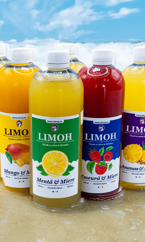 6x Limonadă Artizanala Premium | cu Miere din România