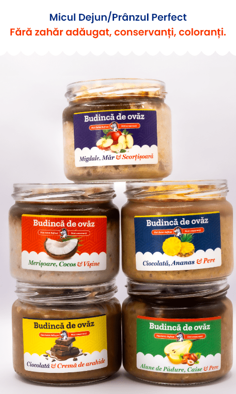 5 borcane x 300 g | Ovăz cu lapte de cocos | Micul Dejun/Prânzul Perfect | De Post