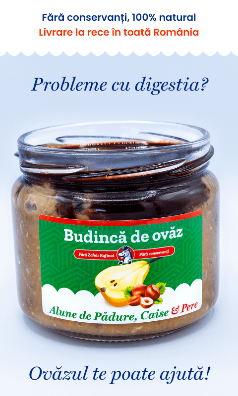 Ovăz cu Alune de Pădure, Pere, Caise | De Post