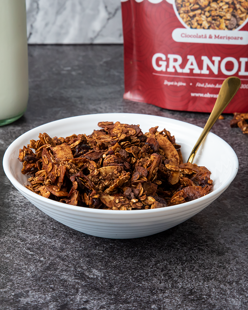 Granola cu Ciocolată și Merișoare