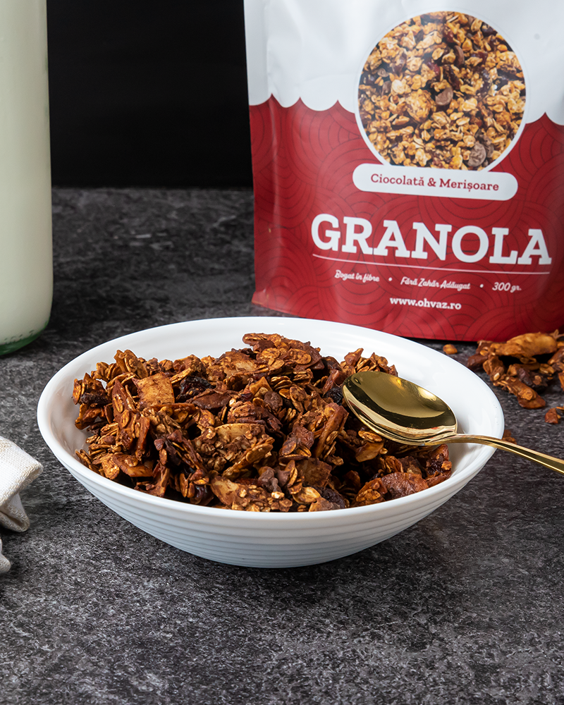 Granola cu Ciocolată și Merișoare