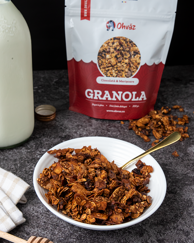 Granola cu Ciocolată și Merișoare