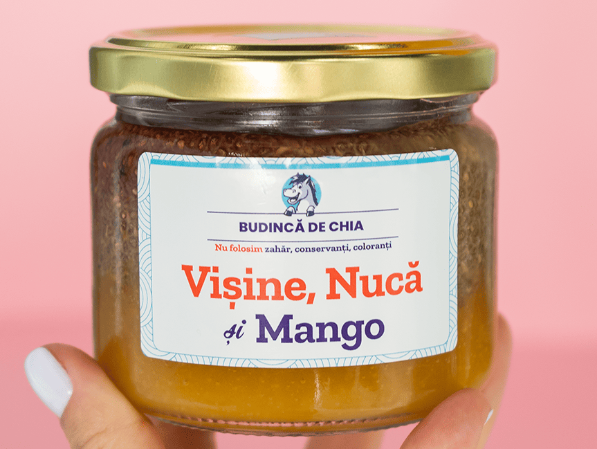 Budinca de Chia cu Vișine, Mango, Nucă | De Post