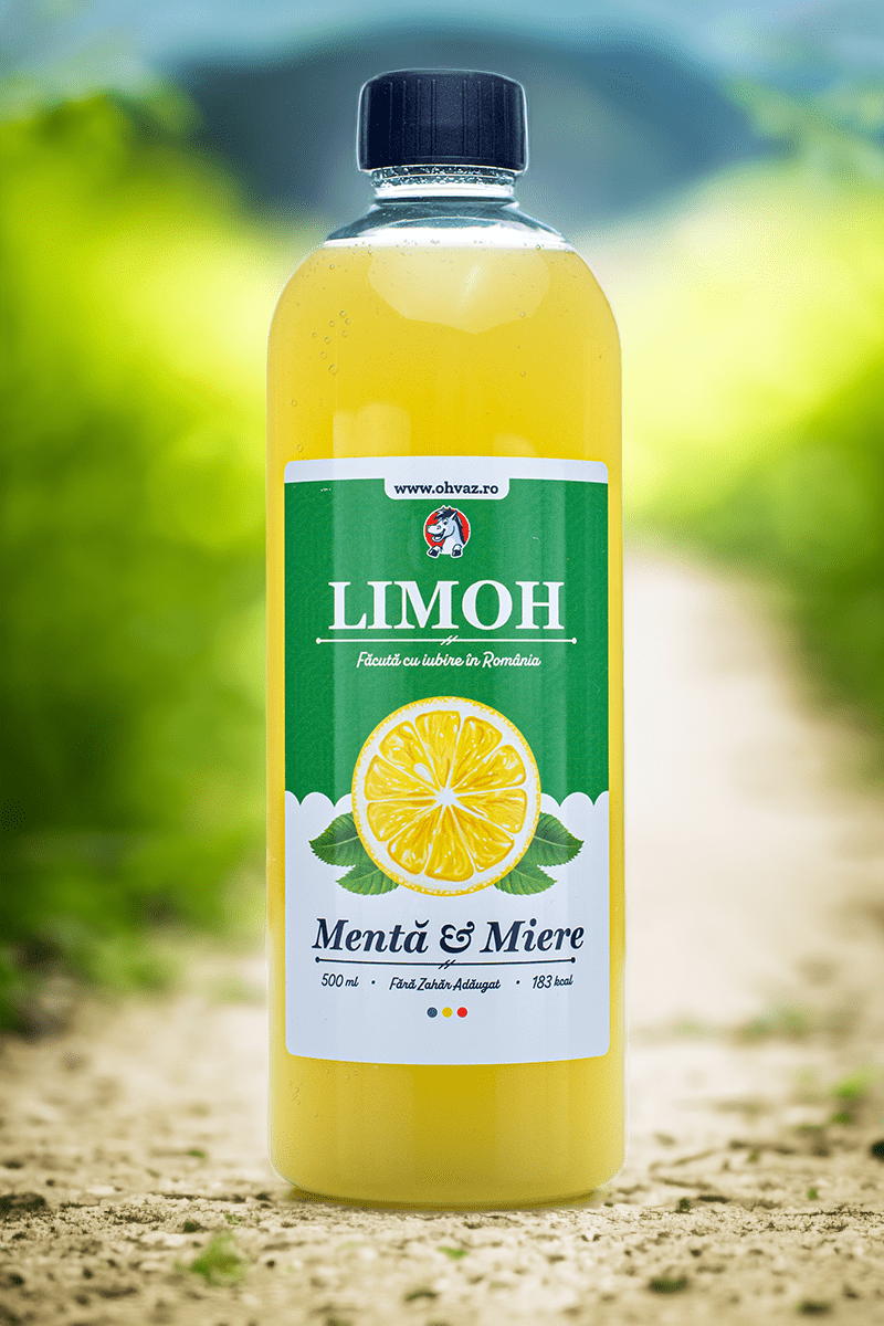 Limonadă cu Mentă și Miere