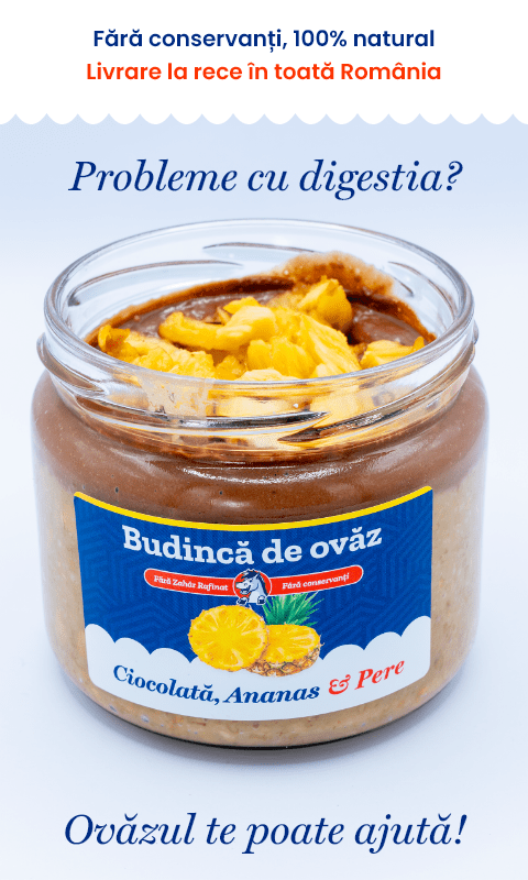 5 borcane x 300 g | Ovăz cu lapte de cocos | Micul Dejun/Prânzul Perfect | De Post