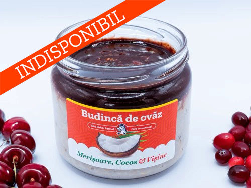 Ovăz cu Merișoare și Cocos | De Post