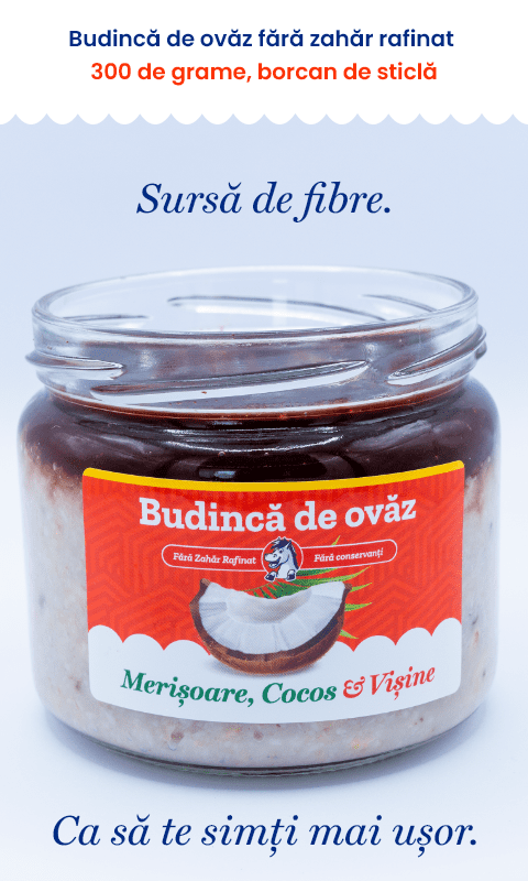 Ovăz cu Merișoare și Cocos | De Post