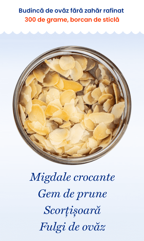 5 borcane x 300 g | Ovăz cu lapte de cocos | Micul Dejun/Prânzul Perfect | De Post