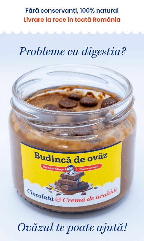 5 borcane x 300 g | Ovăz cu lapte de cocos | Micul Dejun/Prânzul Perfect | De Post