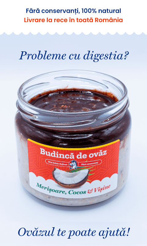 Ovăz cu Merișoare și Cocos | De Post