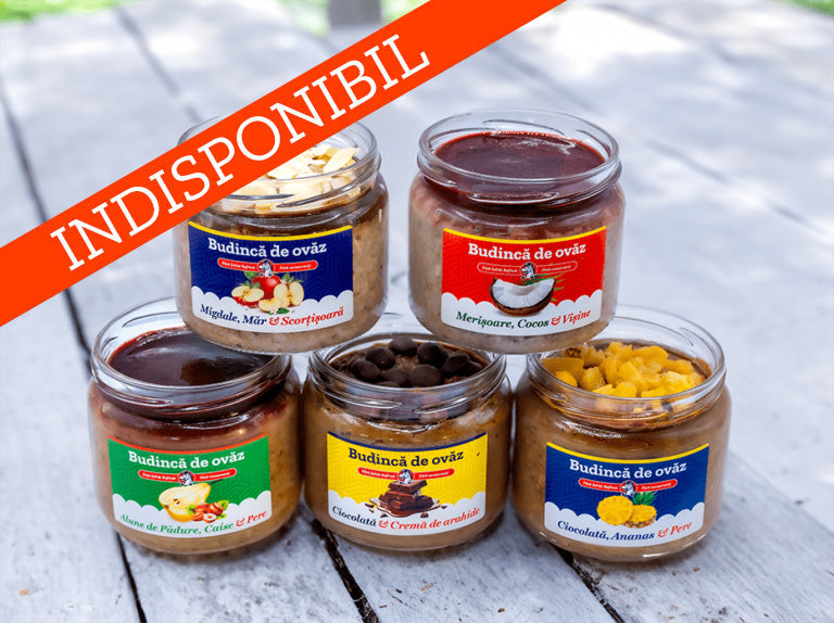 5 borcane x 300 g | Ovăz cu lapte de cocos | Micul Dejun/Prânzul Perfect | De Post