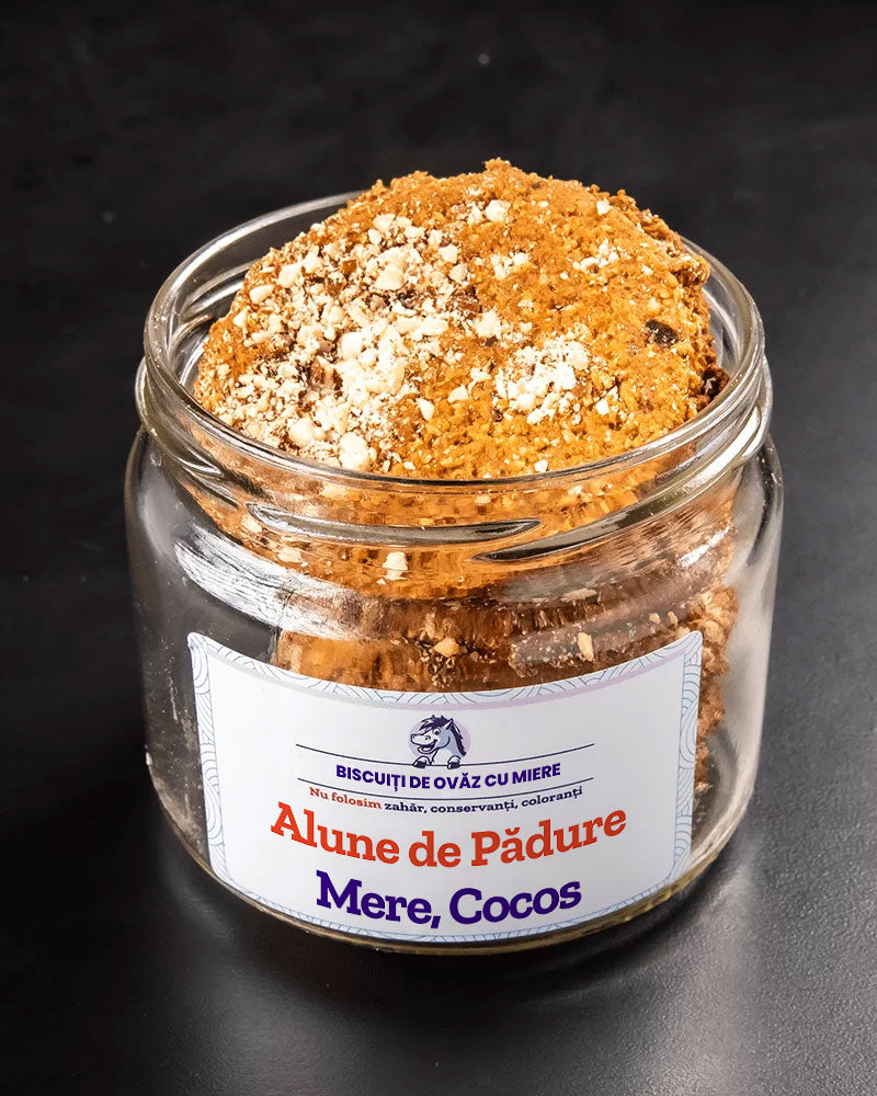 Biscuiți de ovăz cu Alune Pădure, Mere, Cocos | De Post
