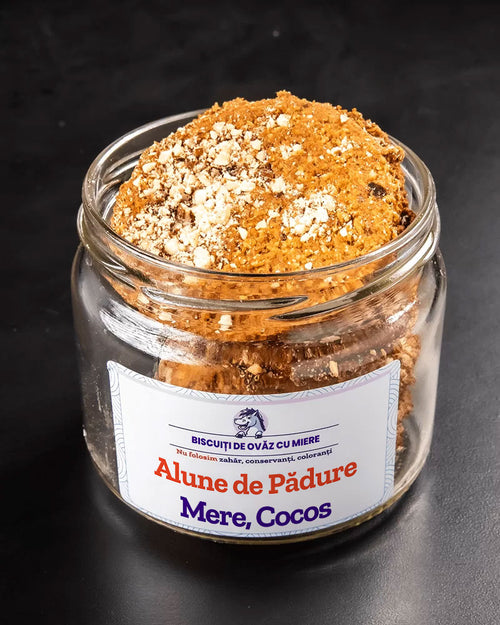 Biscuiți de ovăz cu Alune Pădure, Mere, Cocos | De Post